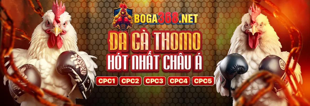 Sân đấu gà chọi 368 sôi động